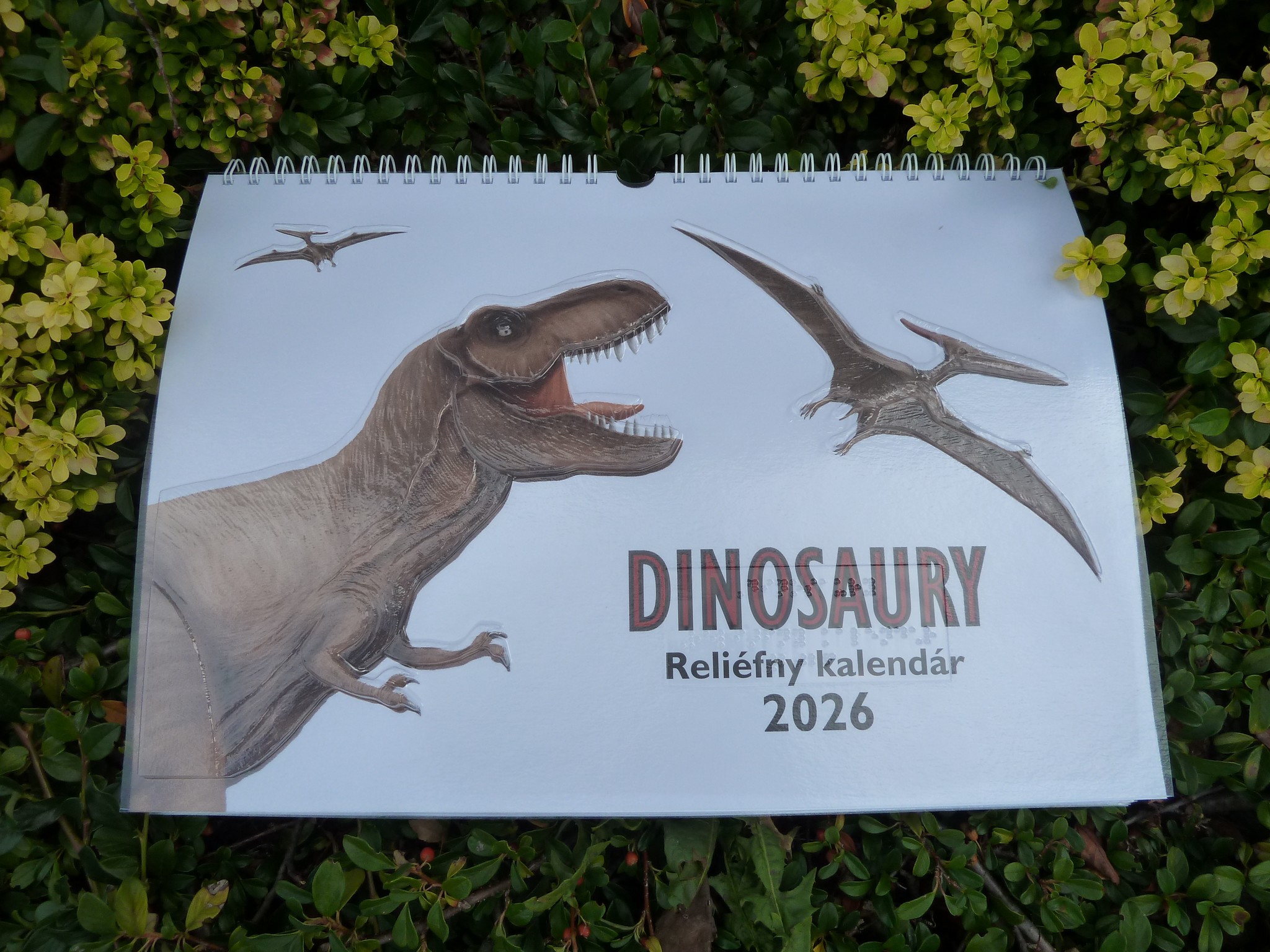 Obrázok zobrazuje nástenný kalendár na rok 2026 položený na kríkoch so zelenými listami. Na prednej strane kalendára sú namaľované tri dinosaury – dva lietajúce plaziská (pterosaury) a jeden veľký dinosaurus s otvorenou papuľou, pravdepodobne Tyrannosauru